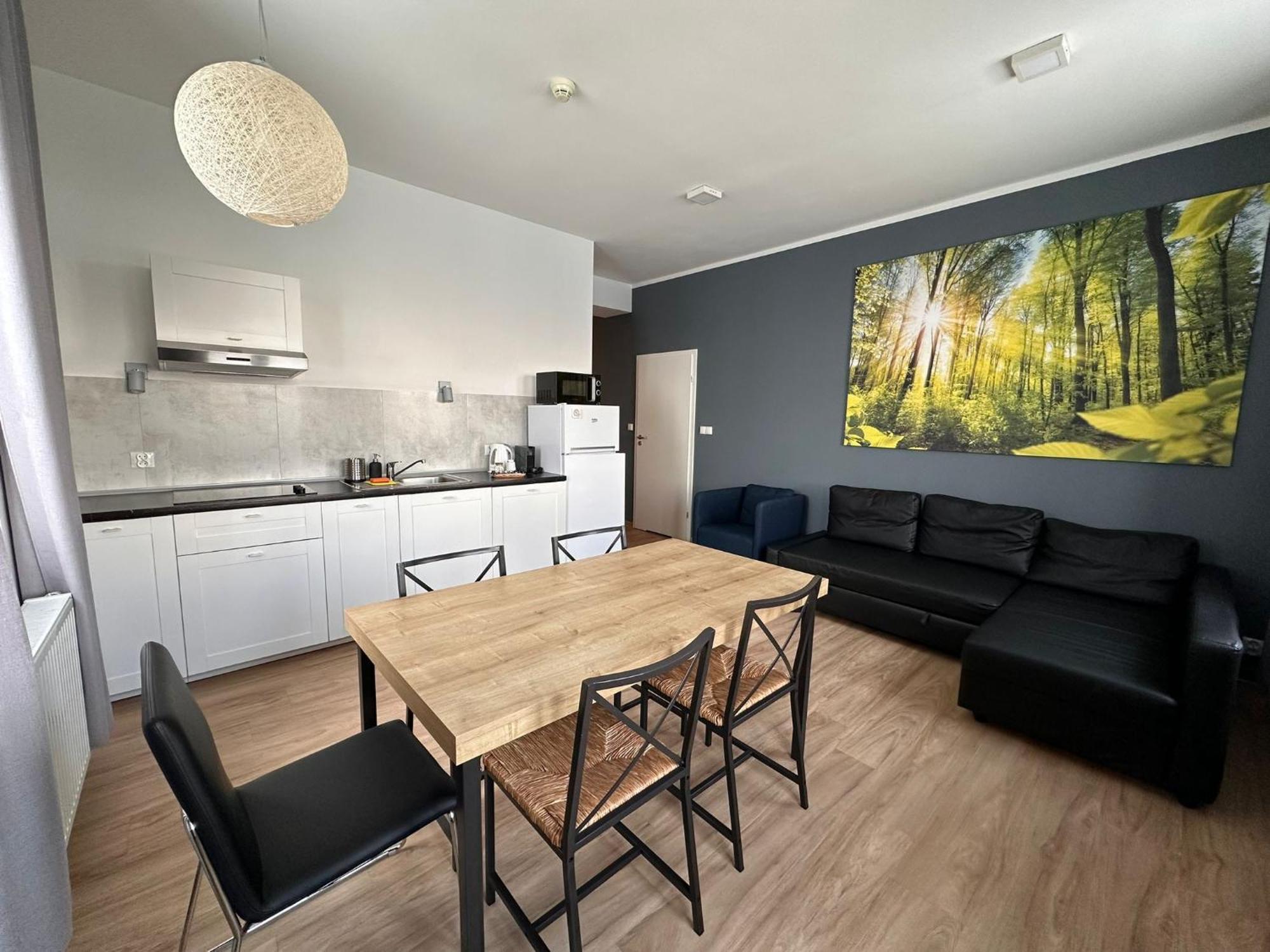 Apartamenty Zieleniec Дужники Здрой Стая снимка