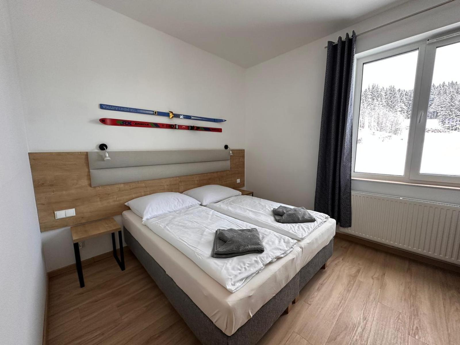 Apartamenty Zieleniec Дужники Здрой Стая снимка