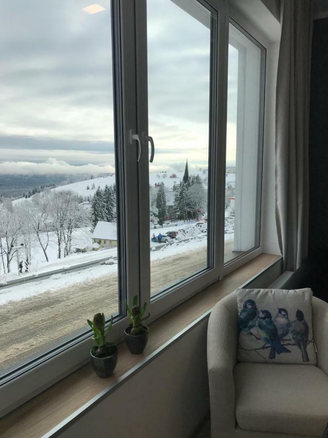 Apartamenty Zieleniec Дужники Здрой Екстериор снимка